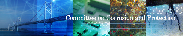 Committee on Corrosion and Protection